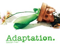 Adaptation Movie Review