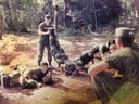 Beyond the Black Berets