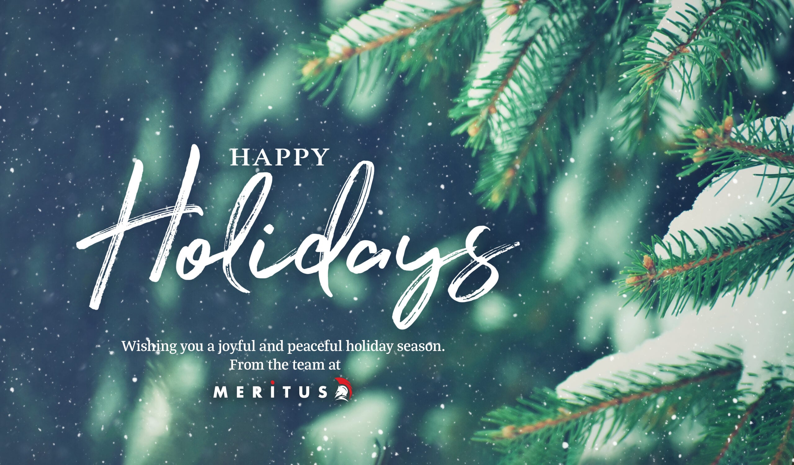 Happy Holidays from the team at Meritus Media