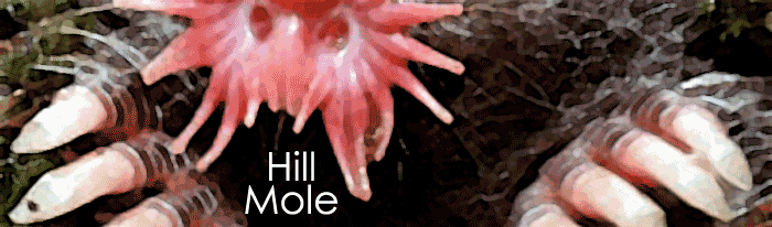 Hill Mole Spy Novel
