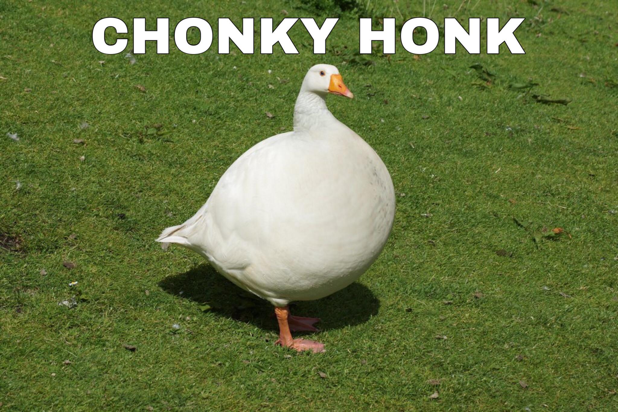I only hit 350 pounds because I was stuffing myself like a French foie gras goose