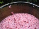 Mama Stamberg's Cranberry Relish Recipe from Susan Stamberg and NPR