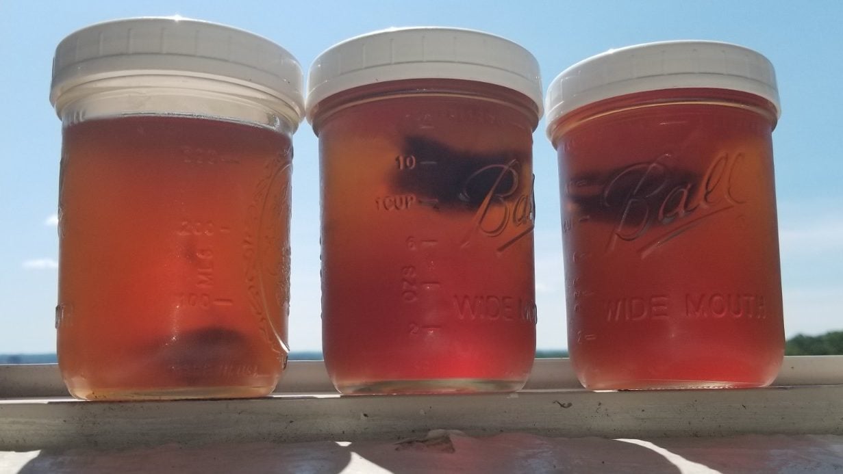 Overnight cold water-steeped PG Tips black tea in a Ball mason jar is now my favorite IF-approved drink