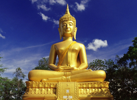 The Gold Buddha