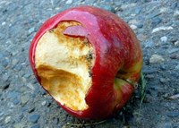 The rotten apple spoils his companion