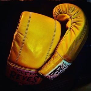 Cleto Reyes professional training gloves for 9Round