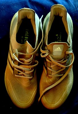 adidas Men's Ultraboost 21 Running Shoe