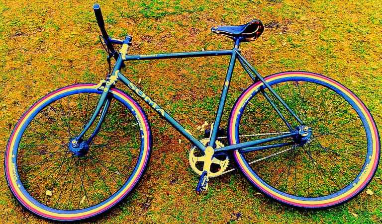 My SOMA Delancey single speed