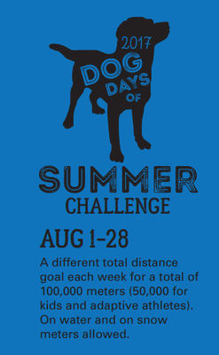 2017 Concept2 Summer Challenge Whole Logo