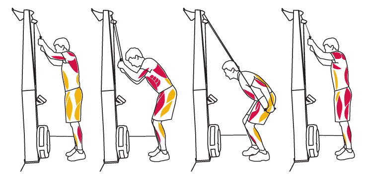 Skierg before and after sale