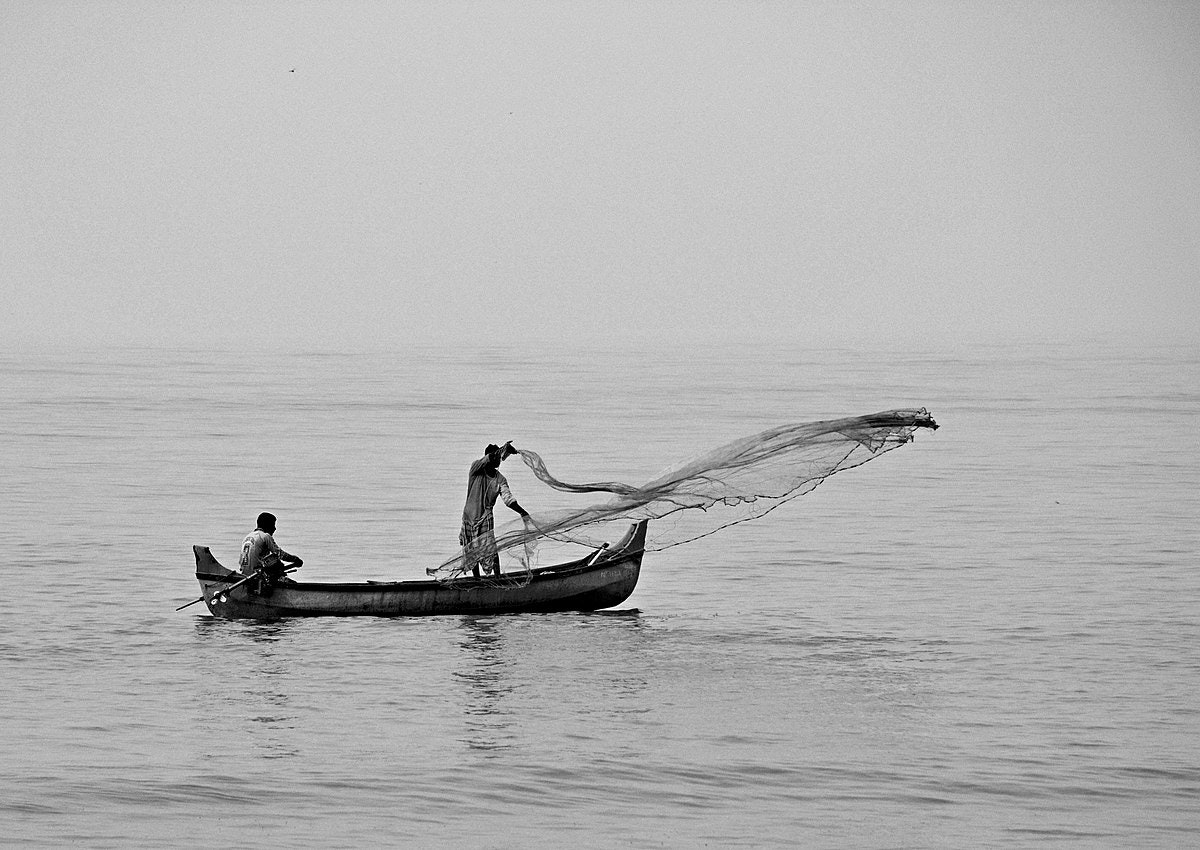 Casting a wide net