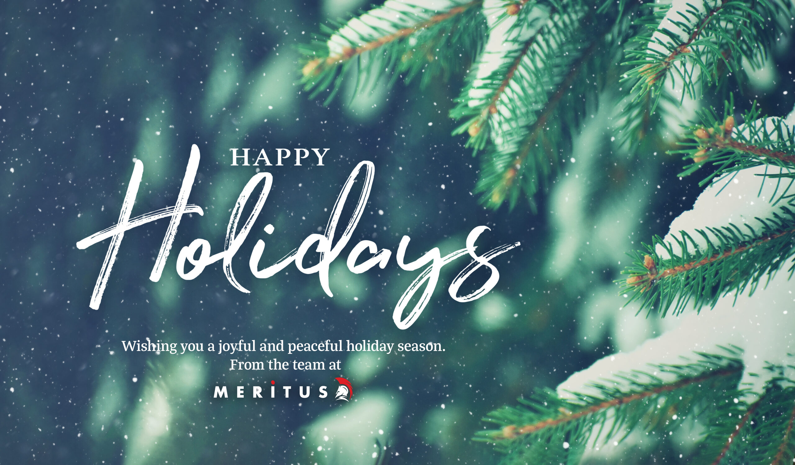 Happy Holidays from Meritus Media