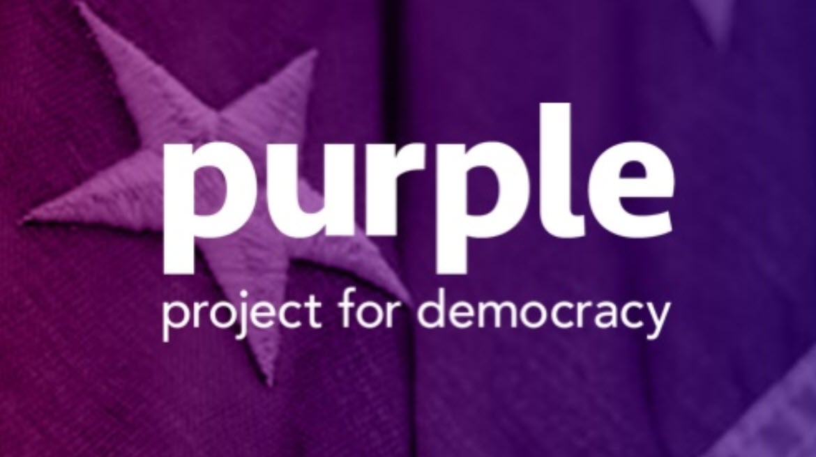 Gerris Corp proud to support Purple Project for Democracy with Pro-Bono Services