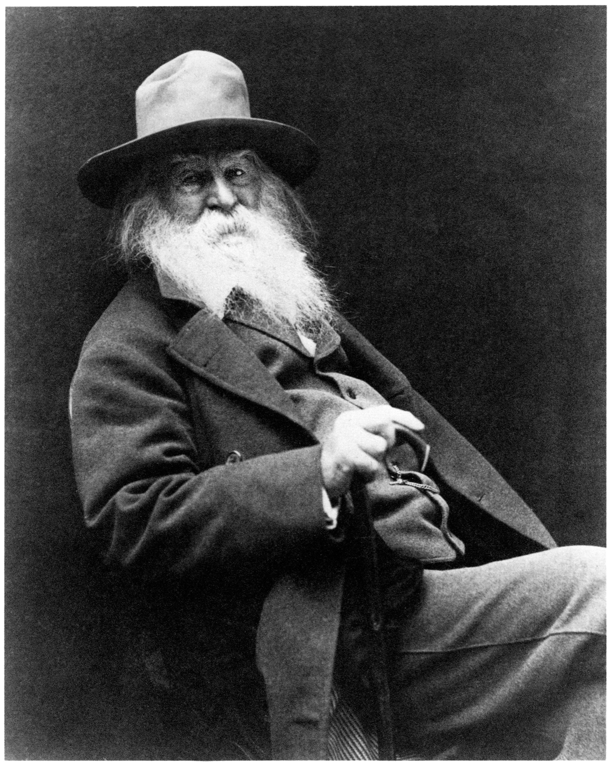 I Sing the Body Electric by Walt Whitman