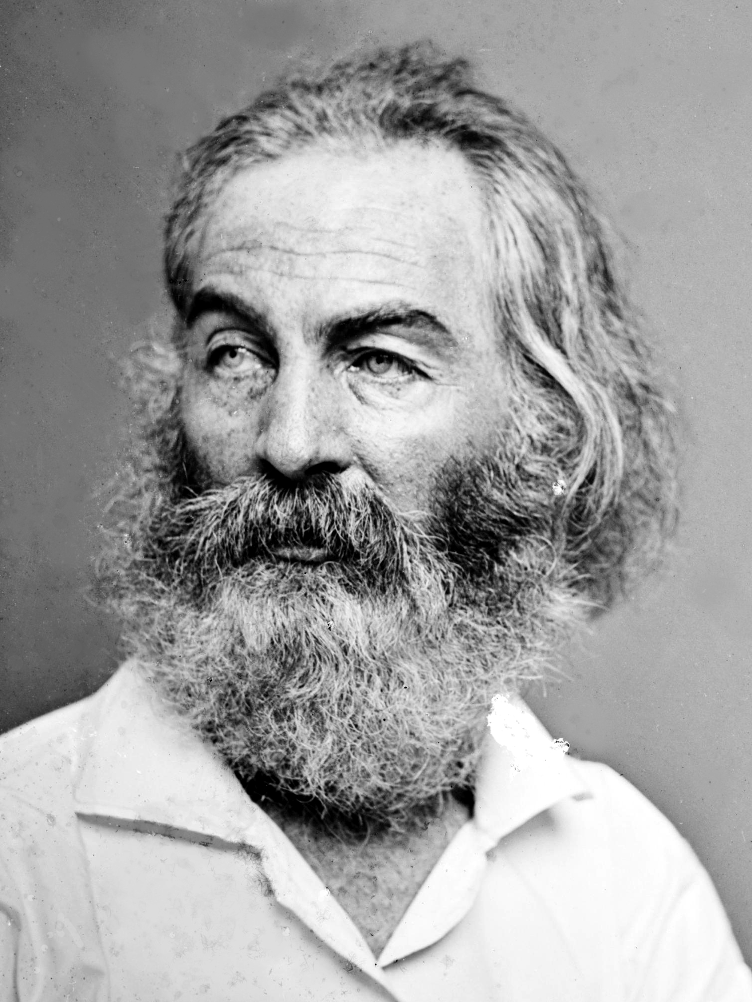 Song of Myself, V by Walt Whitman