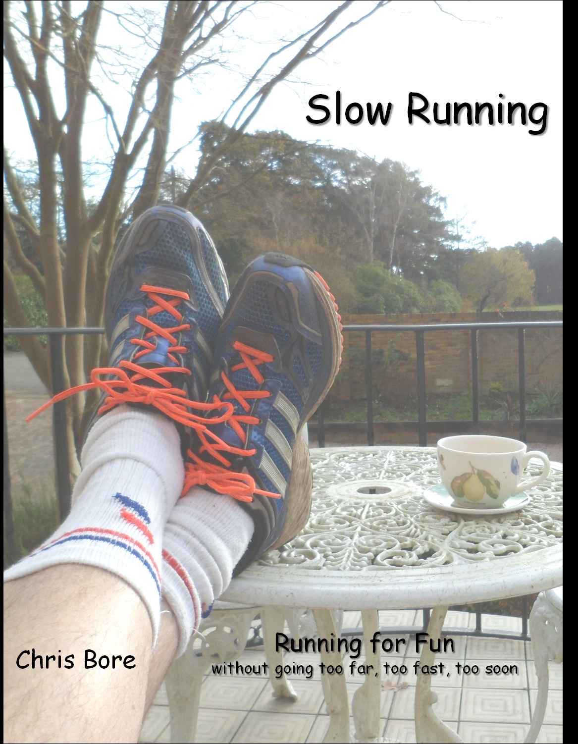 Some great books for slow jogging, slow running, and heart rate aerobic training
